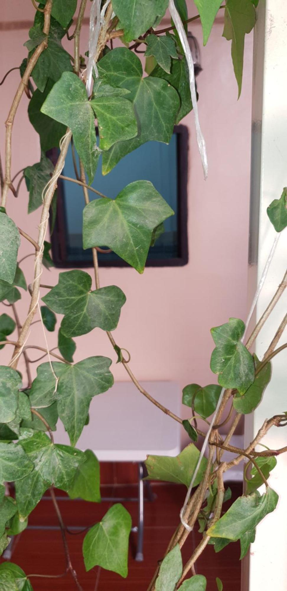 La Casa Espanyola 페스 외부 사진
